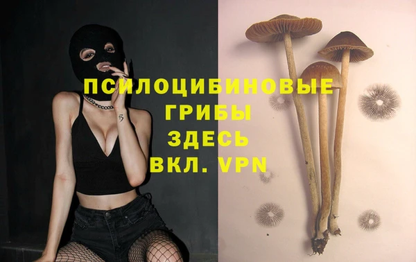 ешки Беломорск