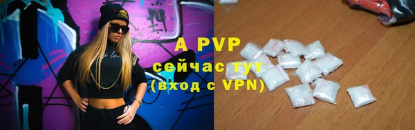 стафф Богданович