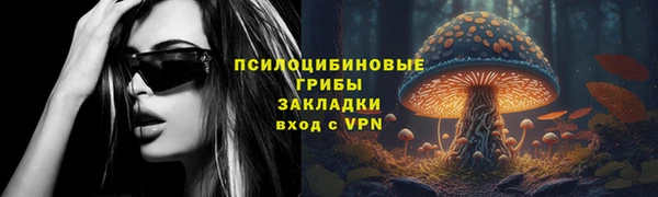 мяу мяу мука Белокуриха