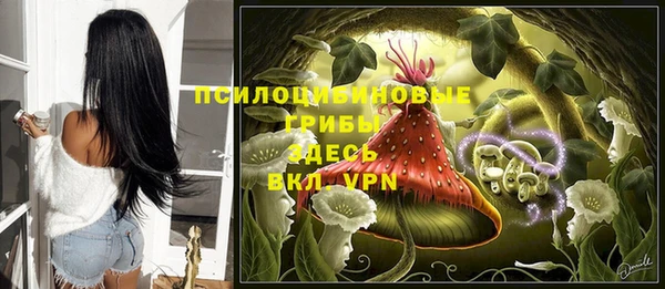 мдпв Богородск